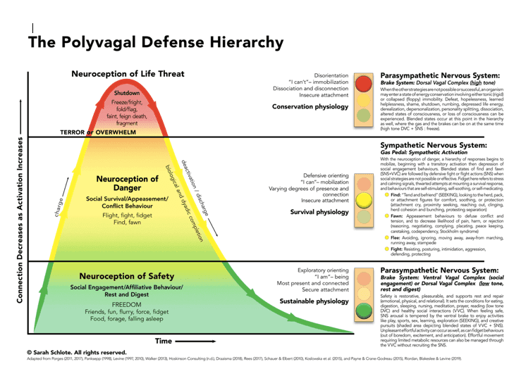 Polyvagal defense hierarchy